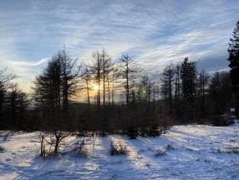 winter