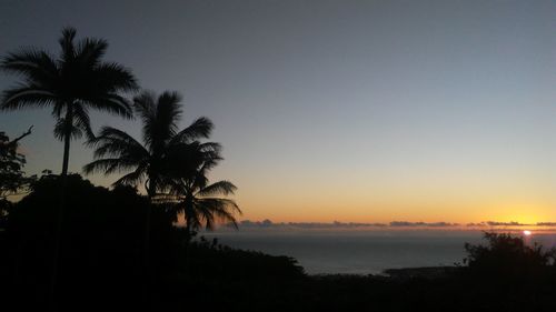 Silhouette palm trees on beach against sky during sunset