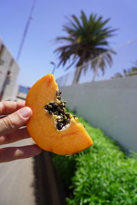 Close-up of hand holding orange