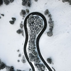 High angle view of snow covered trees on field