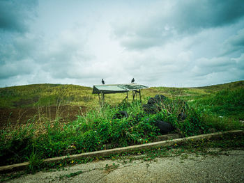 Scenic view of land against sky