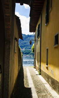 Rear view of man walking on street