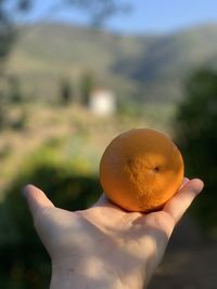 Close-up of hand holding apple