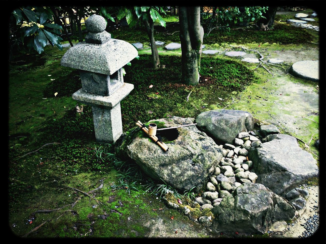 transfer print, auto post production filter, tree, park - man made space, growth, day, stone material, tree trunk, stone - object, human representation, plant, sunlight, outdoors, nature, sculpture, cemetery, no people, park, tranquility, art and craft