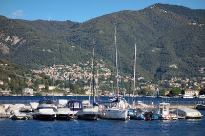 Sailboats moored at harbor