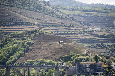 High angle view of agricultural landscape