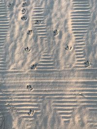 Footprints on sand