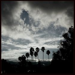 Silhouette of trees against cloudy sky