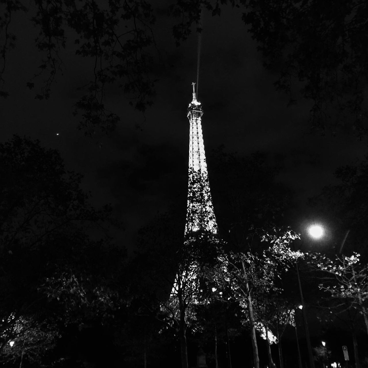 night, low angle view, architecture, illuminated, tall - high, sky, tower, built structure, tree, building exterior, no people, nature, plant, travel destinations, building, tourism, city, spire, outdoors, lighting equipment, office building exterior, skyscraper