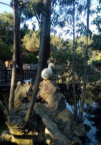 Bird perching on a tree