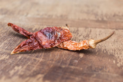 Close-up of crab on table