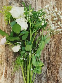 Close-up of white flowers