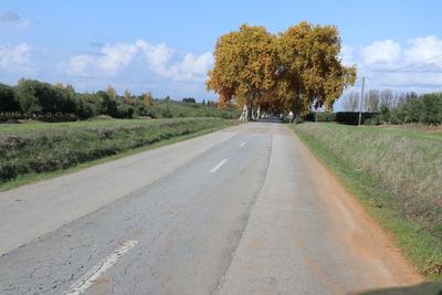 Road amidst trees against sky