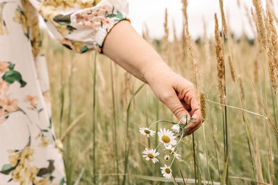 Midsection of woman holding flowering plant on field