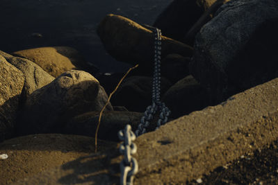 Close-up of rope on rock