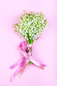 Close-up of pink flowering plant on table against white background