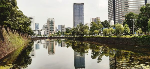 Reflection of trees in city buildings against sky