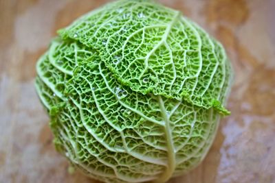 Close-up of green cabbage