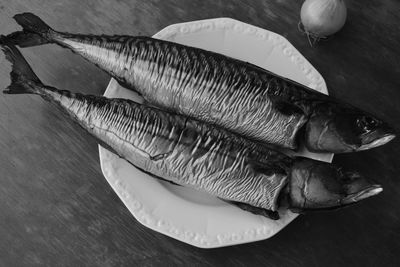 Close-up of fish on table