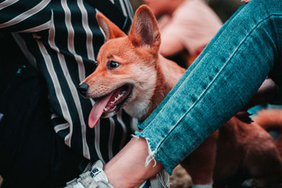 Close-up of woman holding dog