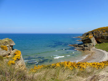 Scenic view of sea against clear sky