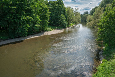 River flowing amidst trees