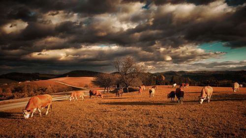 Panoramic view of people on landscape against dramatic sky