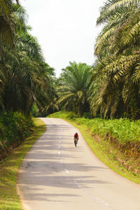 Man riding bicycle on road