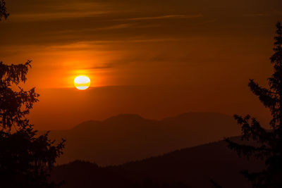 Silhouette trees against orange sky