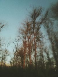 Low angle view of silhouette trees on field against sky