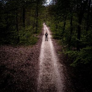 High angle view of man standing on footpath amidst trees in forest
