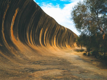 Panoramic shot of road amidst trees against sky