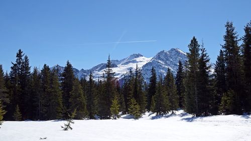 Scenic view of snowcapped mountains against clear blue sky