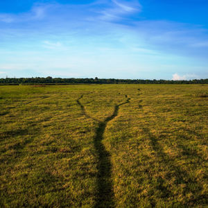 Scenic view of field against sky