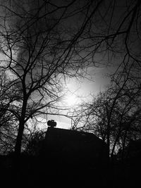 Low angle view of silhouette bird perching on bare tree