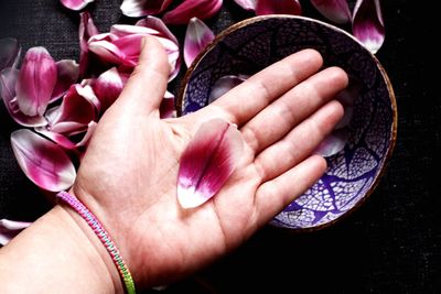 Close-up of hand holding pink flowers