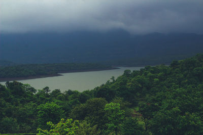 Scenic view of river in forest against sky
