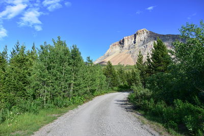 Road amidst trees against sky