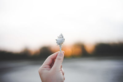 Close-up of hand holding leaf against sky