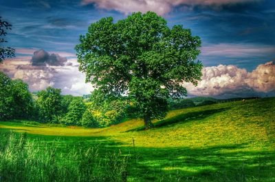 Scenic view of grassy field against cloudy sky