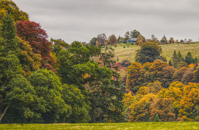 Trees on field against sky during autumn