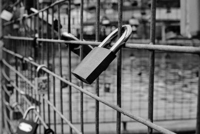Close-up of padlocks on railing