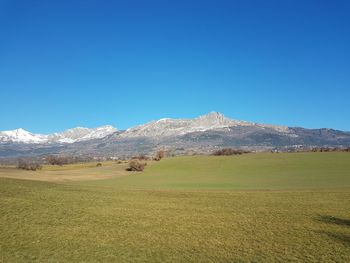 Scenic view of field against clear blue sky