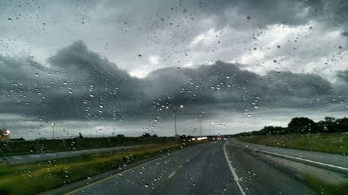 Road passing through a forest