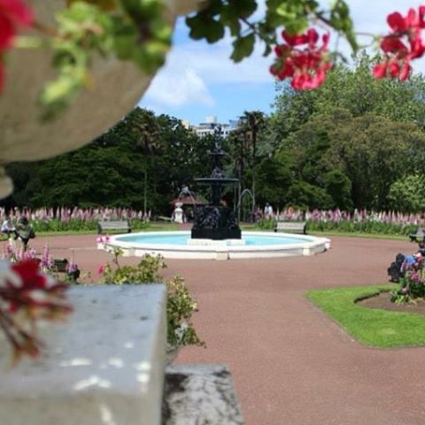 tree, park - man made space, growth, large group of people, incidental people, person, formal garden, park, flower, nature, plant, leisure activity, green color, day, outdoors, lawn, fountain, palm tree, grass