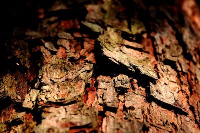 Full frame shot of stone wall