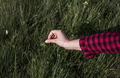 Close-up of hand holding wheat in field