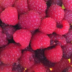 Full frame of strawberries