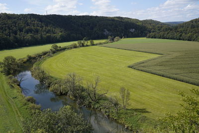 Scenic view of agricultural field against sky