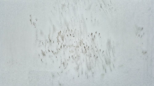 Full frame shot of snow on wall